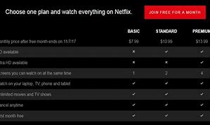 Image result for Netflix Year Subscription
