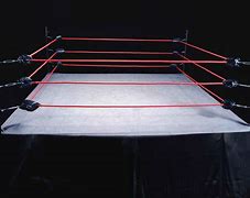 Image result for WWE Wrestling Ring without Springs