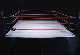Image result for Wrestling Ring Ropes