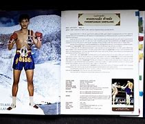 Image result for Best Muay Thai Fighter