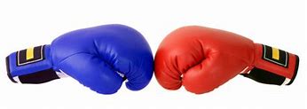 Image result for Red and Blue Boxing Gloves