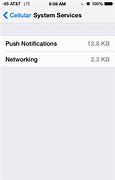 Image result for Cellular Data Options iPhone