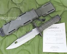 Image result for Phrobis M9 Bayonet