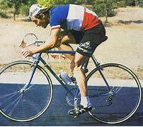 Image result for Bernard Hinault Cyclist