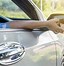 Image result for Holding Car Mirror
