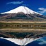 Image result for Must Visit Places in Japan