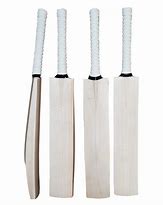 Image result for Best Cricket Bat Designers