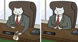 Image result for Executive Cat Meme