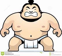 Image result for Sumo