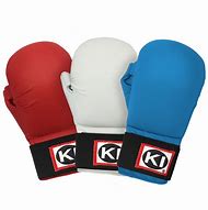 Image result for Karate Kumite Gloves