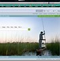 Image result for live search background photo