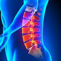 Image result for Lumbar Spine Lateral View