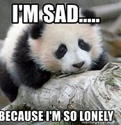 Image result for Who Is the Lonely Guy Meme