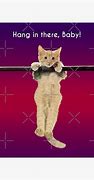 Image result for Hang in There Kitty Meme