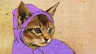 Image result for Hipster Cat Meme