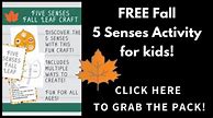 Image result for The Five Senses Worksheets for Preschool