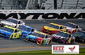 Image result for IndyCar Beef Sponsor