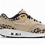 Image result for White Nike Cheetah Print Shoes