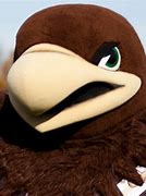 Image result for Lehigh University Mascot