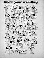 Image result for Types of Wrestling