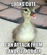 Image result for Odd Duck Meme