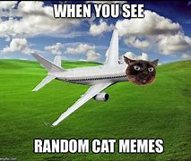 Image result for Airplane Funny Cat Memes