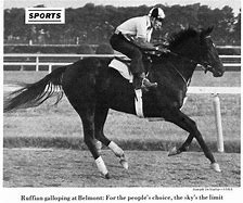 Image result for Ruffian Racehorse