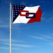 Image result for Ohio Flag