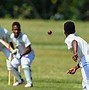 Image result for Cricket Bowling Machine