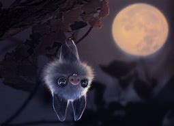 Image result for Cute Bat Art