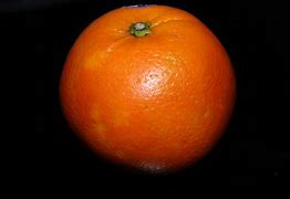 Image result for Big Orange Fruit