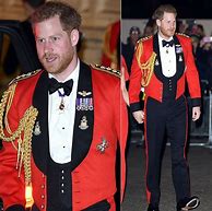 Image result for British Prince Elaborate Uniform
