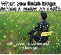 Image result for Netflix Binge Meme