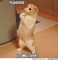 Image result for Get Well Soon Work Meme