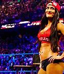 Image result for WWE Nikki Bella Leather