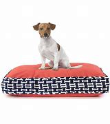 Image result for Cotton Canvas Dog Bed