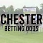 Image result for Chester Racecourse Map Gate 11