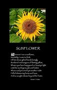 Image result for Sunflower Poem
