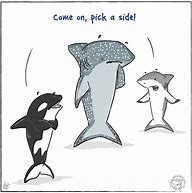 Image result for Floating Shark Meme