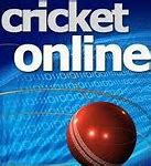 Image result for Cricket Outline