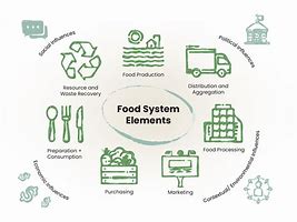 Image result for Sectors of the Food System