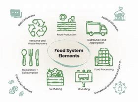 Image result for Local Food System