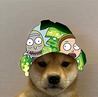 Image result for Dogwifhat Meme 1080 Px