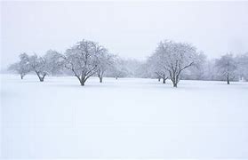 Image result for Plain Snow Wallpaper iPhone
