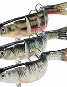 Image result for 10 Best Trout Lures