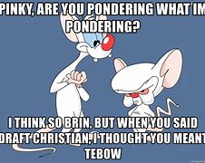 Image result for Pinky and the Brain Are You Pondering Meme