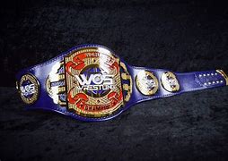 Image result for Premier Wrestling Belts