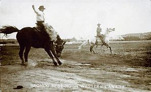 Image result for Western Bronc iPhone X Case