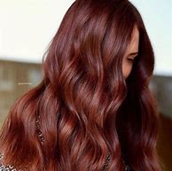 Image result for Chestnut Brown Hair Color Red