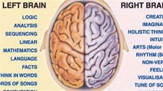 Image result for Split Brain Theory Images HD